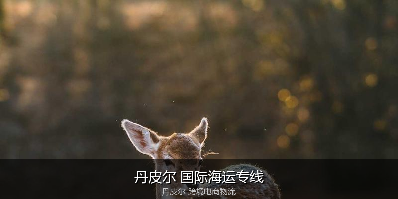 澳大利亚主要港口海运服务对比